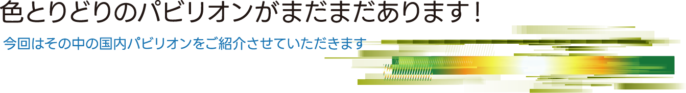 どんな“ワクワク”が待っているのかな？！